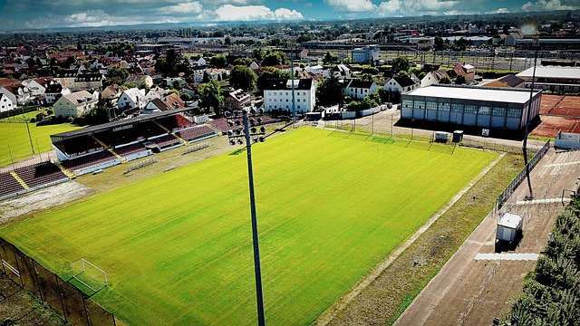 作为雄鹿队 作为雄鹿队