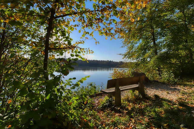 李剛仁的加 李剛仁的加